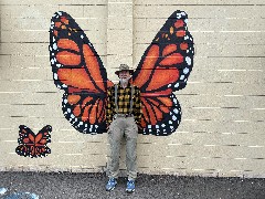 Dan Dorrough; Our Daily Walk; Butterflys; Central on Main Butterfly